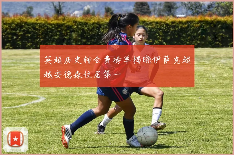 英超历史转会费榜单揭晓伊萨克超越安德森位居第一